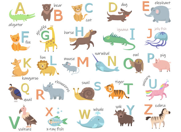 Colorful zoo alphabet with cute animals flat illustration set