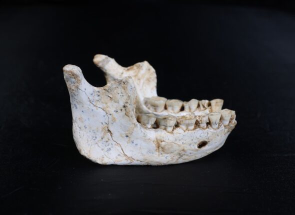 cnn-L19jb21wb25lbnRzL2ltYWdlL2luc3RhbmNlcy9jbWs0MmU5NTAwMDA5MzU2cHY0em53Z2Nz-L19jb21wb25lbnRzL2FydGljbGUvaW5zdGFuY2VzL2NtazQyY2M0cjAwMnoyNnBiZGw5YTZpZHI